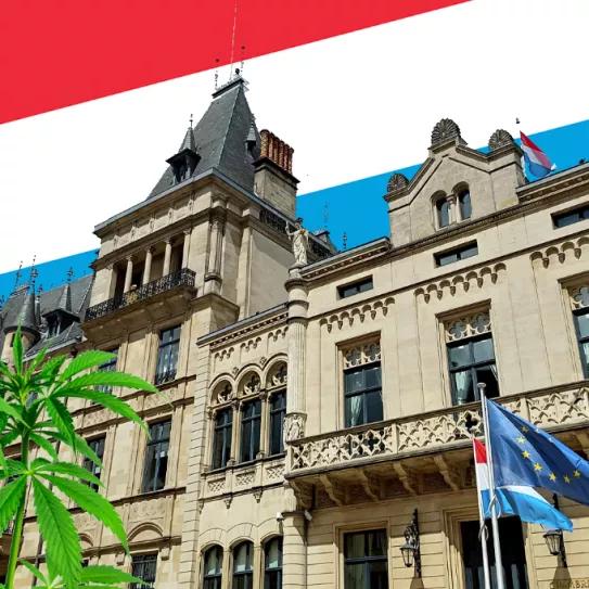 Luxemburgo prepara la legalización del cannabis a contratiempo por las elecciones 