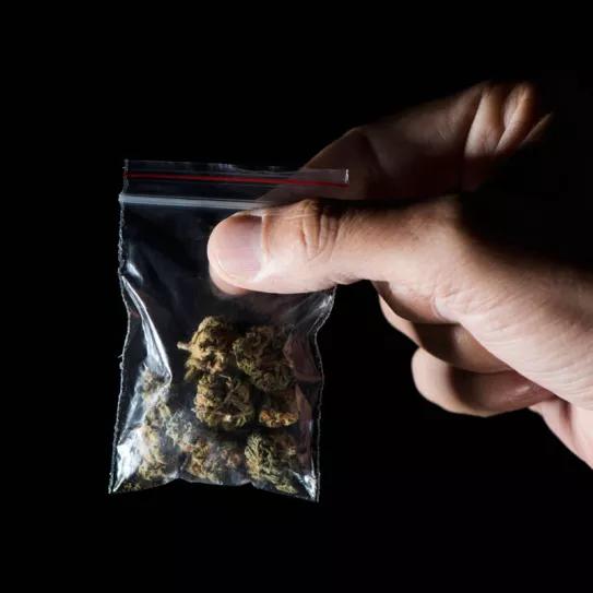 El 40% de las compras de cannabis en Canadá se realizan fuera del mercado legal 