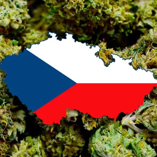 República Checa quiere presentar la legalización del cannabis en marzo