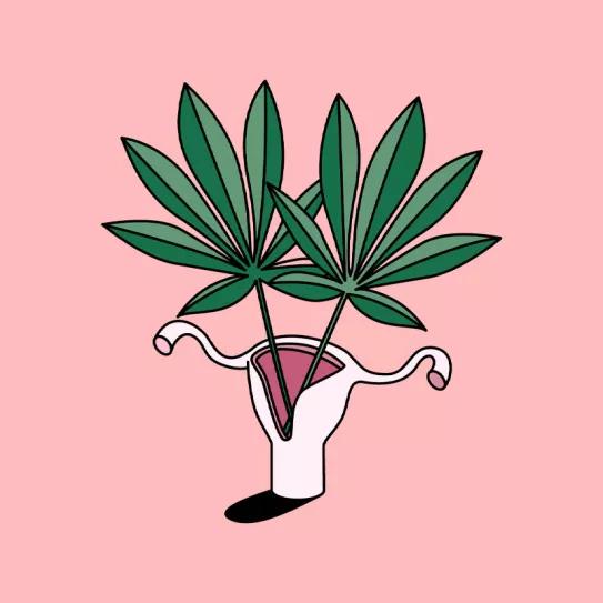Cannabis y menstruación, lanzan una encuesta para conocer más sobre esta desconocida relación
