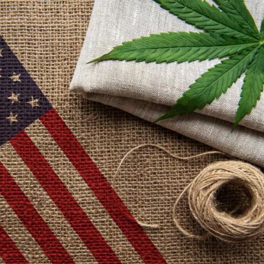 Congresistas de EE UU piden que la bandera nacional sea de cáñamo 