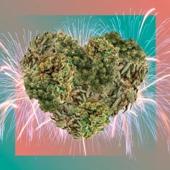 El cannabis mejora el sexo y facilita los orgasmos según un nuevo estudio