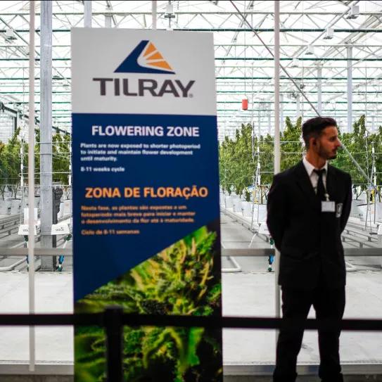 Tilray recorta el 25% de los puestos de trabajo en Portugal 