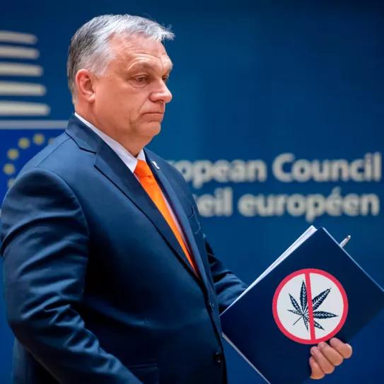 La Comisión Europea lleva a Hungría al Tribunal Europeo por votar contra el cannabis  