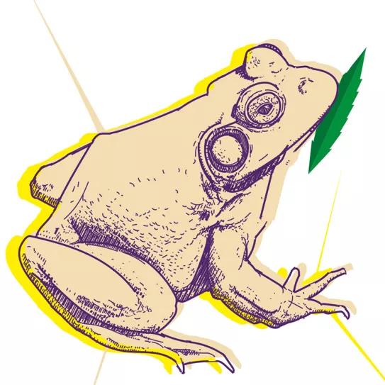 Municipalidades malvadas 