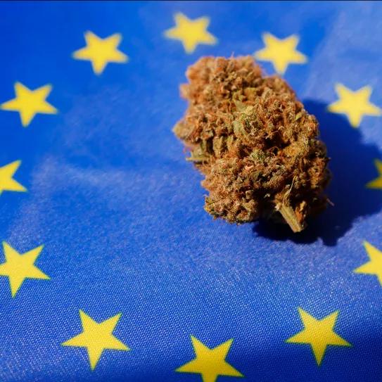 La Agencia del Medicamento Europea creará una guía del cannabis medicinal, incluyendo los cogollos 