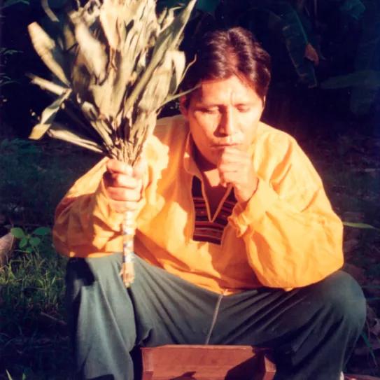 La justicia mexicana absuelve a un curandero que viajó con ayahuasca en un juicio histórico 