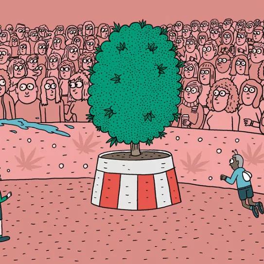 El domador de plantas: ocho técnicas para dominar el desarrollo 