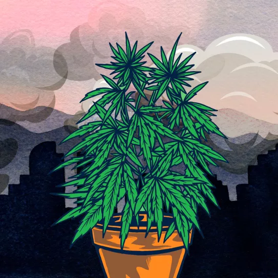 Los efectos de la contaminación