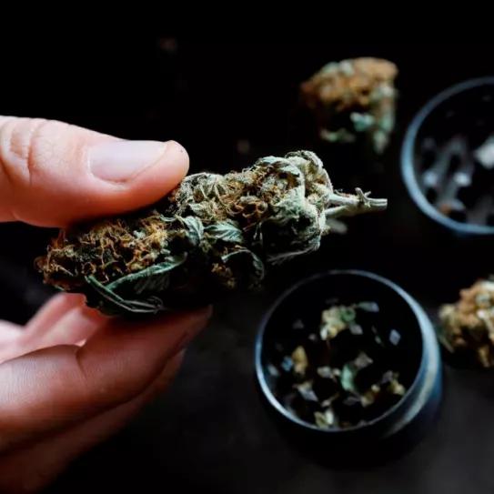Malta reduce las tasas para la apertura de clubs de cannabis