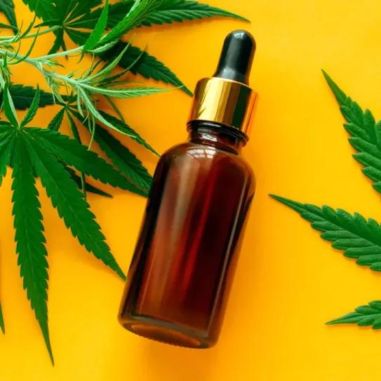 Hoy llega al Congreso la petición para regular el cáñamo industrial y el CBD en España