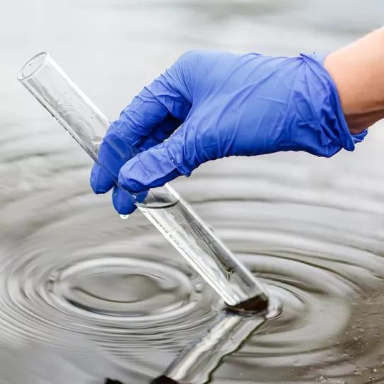 Barcelona, campeona europea en ketamina y Tarragona en cocaína