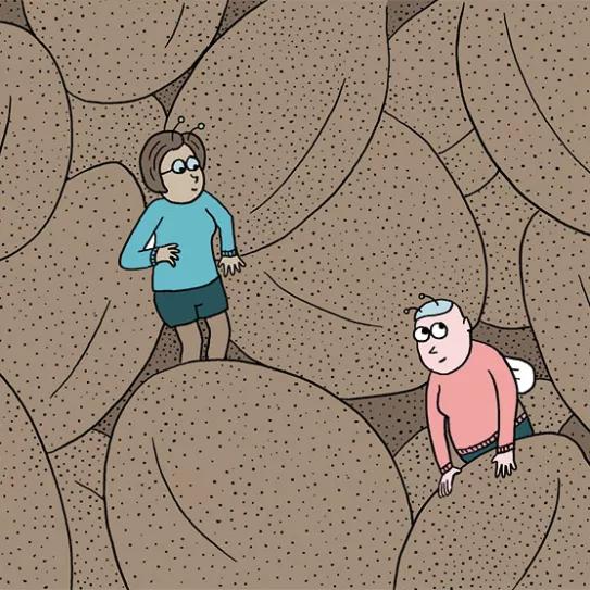 Diez consejos para escoger semillas