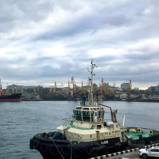 Un porro a la sombra de Putin