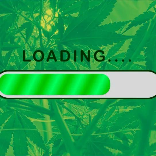 Editorial Cáñamo España #304