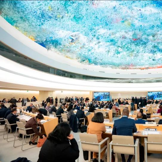 El Consejo de Derechos Humanos de la ONU pide políticas de drogas más justas