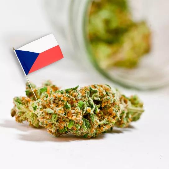 República Checa incluye la legalización del cannabis en su plan contra las adicciones