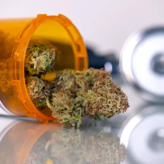 Kentucky legaliza el cannabis medicinal y regula su acceso