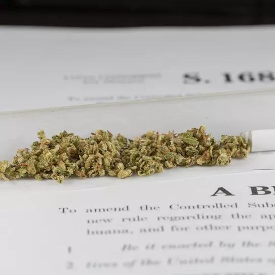 Maryland está a punto de legalizar la marihuana: sólo falta la firma del gobernador