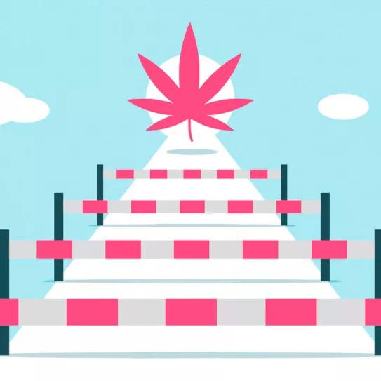 El PSOE como obstáculo Editorial Cáñamo #305