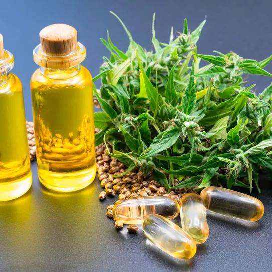 República Checa anuncia la prohibición del CBD en alimentos y suplementos 