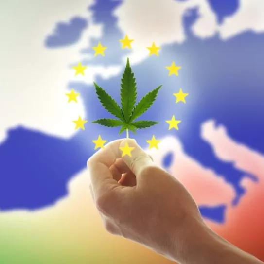 Luxemburgo ensayará la venta de cannabis en un programa piloto como el alemán 