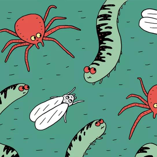 Cómo prevenir los bichos: diez trucos para evitar plagas 