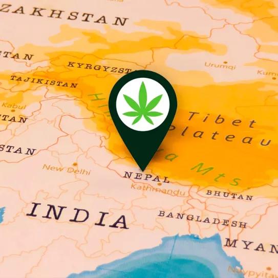 El Gobierno de Nepal estudiará la regulación del cannabis medicinal