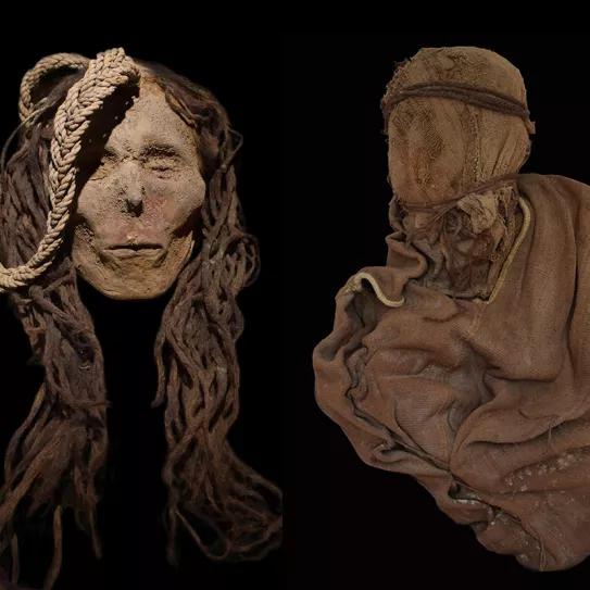 Una cultura preinca sacrificaba niños drogados con mescalina 