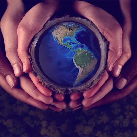 Cuatro millones de personas han consumido ayahuasca en el mundo según una estimación