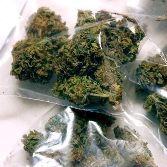 Absuelto un hombre detenido con dos kilos de marihuana porque eran para compartir 
