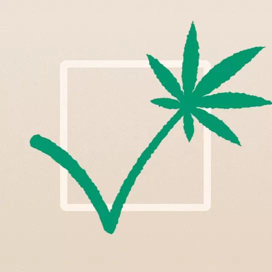 De la absolución a la regulación Editorial Cáñamo #307