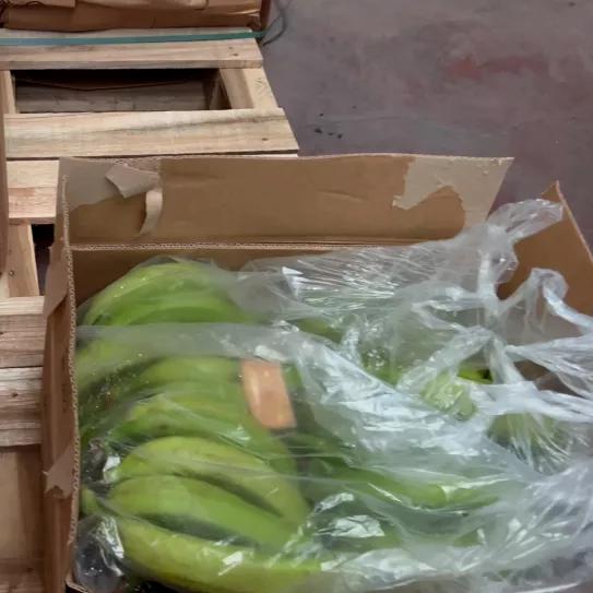 La policía incauta 2,3 toneladas de cocaína ocultas entre bananas en el puerto de Algeciras