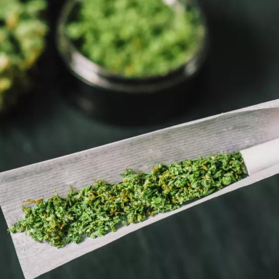 Un estudio científico revela cómo liar el porro perfecto 