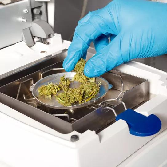 Ananda Lab y la transformación constante en la industria