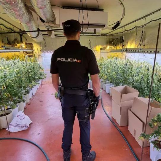 Detenido un Policía Nacional acusado de narcotráfico en Sevilla 