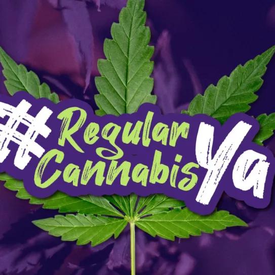 Congresistas colombianos vuelven a la carga con la regulación del cannabis para adultos 