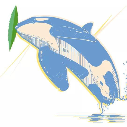 La metadona como herramienta para tratar adicciones 