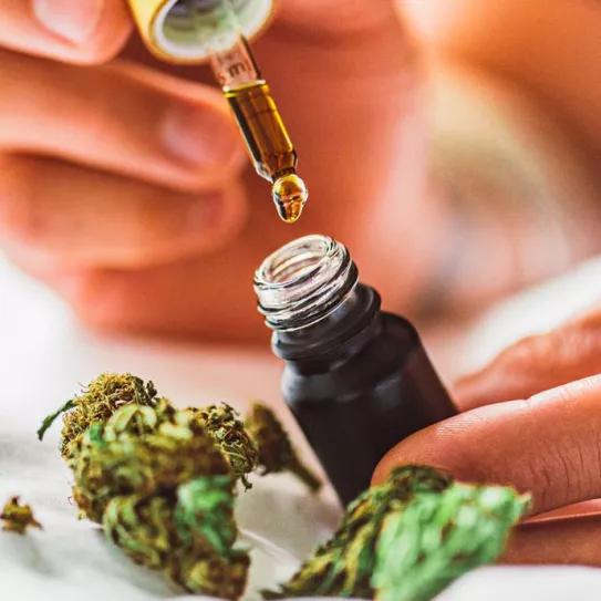 El Gobierno de Italia clasifica los aceites de CBD como narcóticos