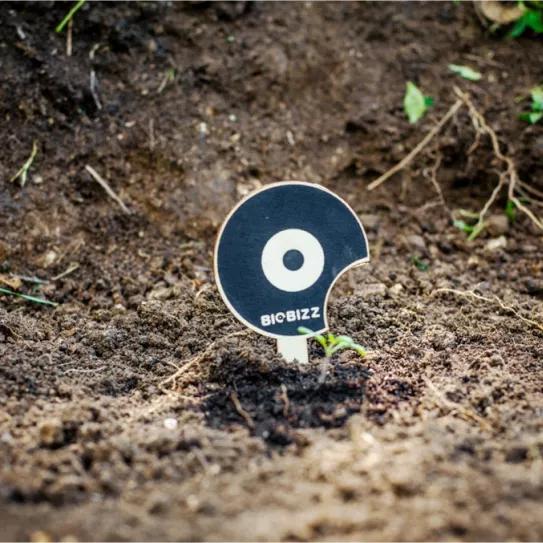 Sustratos de BioBizz