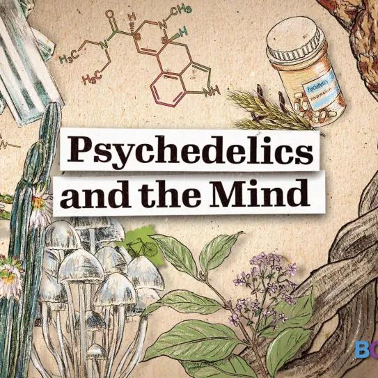 La Universidad de Berkeley lanza un curso gratuito sobre psicodélicos