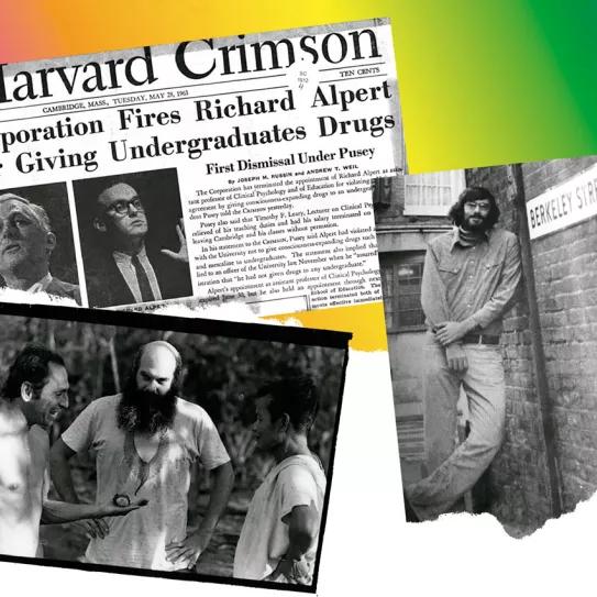 La revolución psicodélica empezó en el claustro de profesores