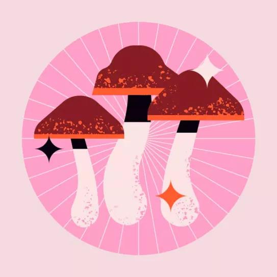 Hoy se celebra el día de los Hongos Mágicos