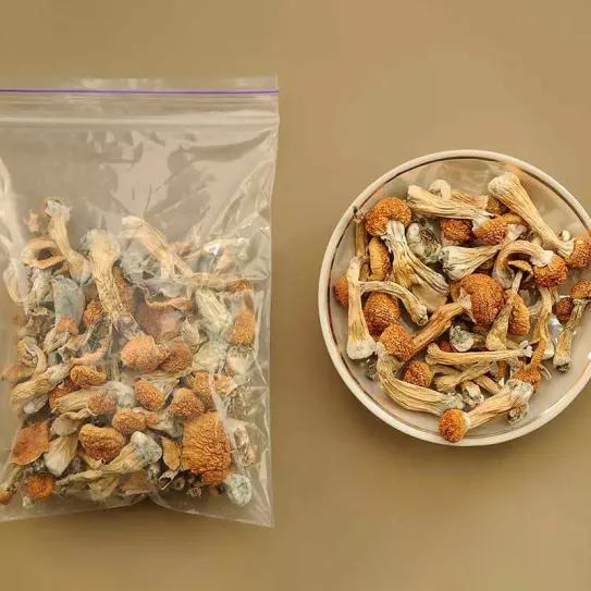 Oregón ya tiene 10 centros para tomar hongos mágicos legalmente