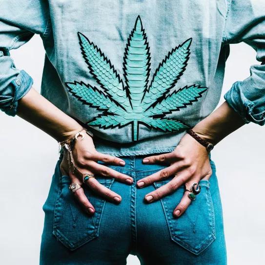 El cannabis extiende su influencia por la moda y el diseño