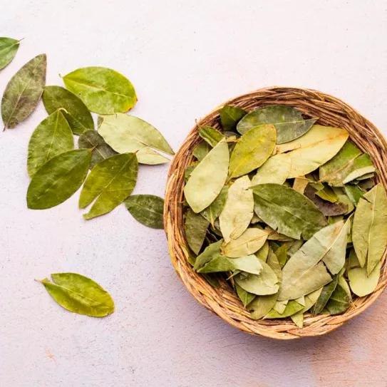 La JIFE mete la pata en su informe anual de drogas y confunde hoja de coca con cocaína