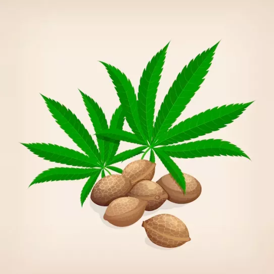 Variedades regulares