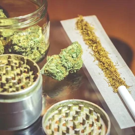 La federación de clubs de cannabis catalana denuncia el intrusismo y malas prácticas 