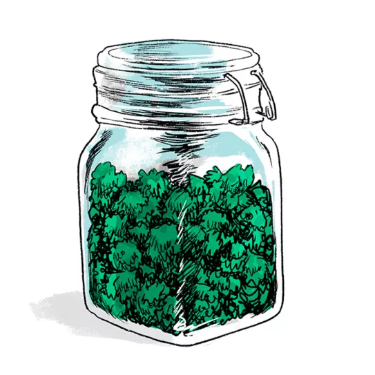 Conservación a largo plazo