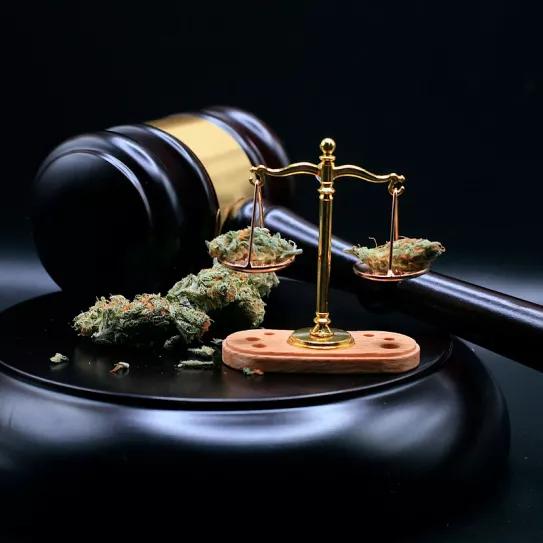 La capital de Australia hace efectiva la despenalización de las drogas 